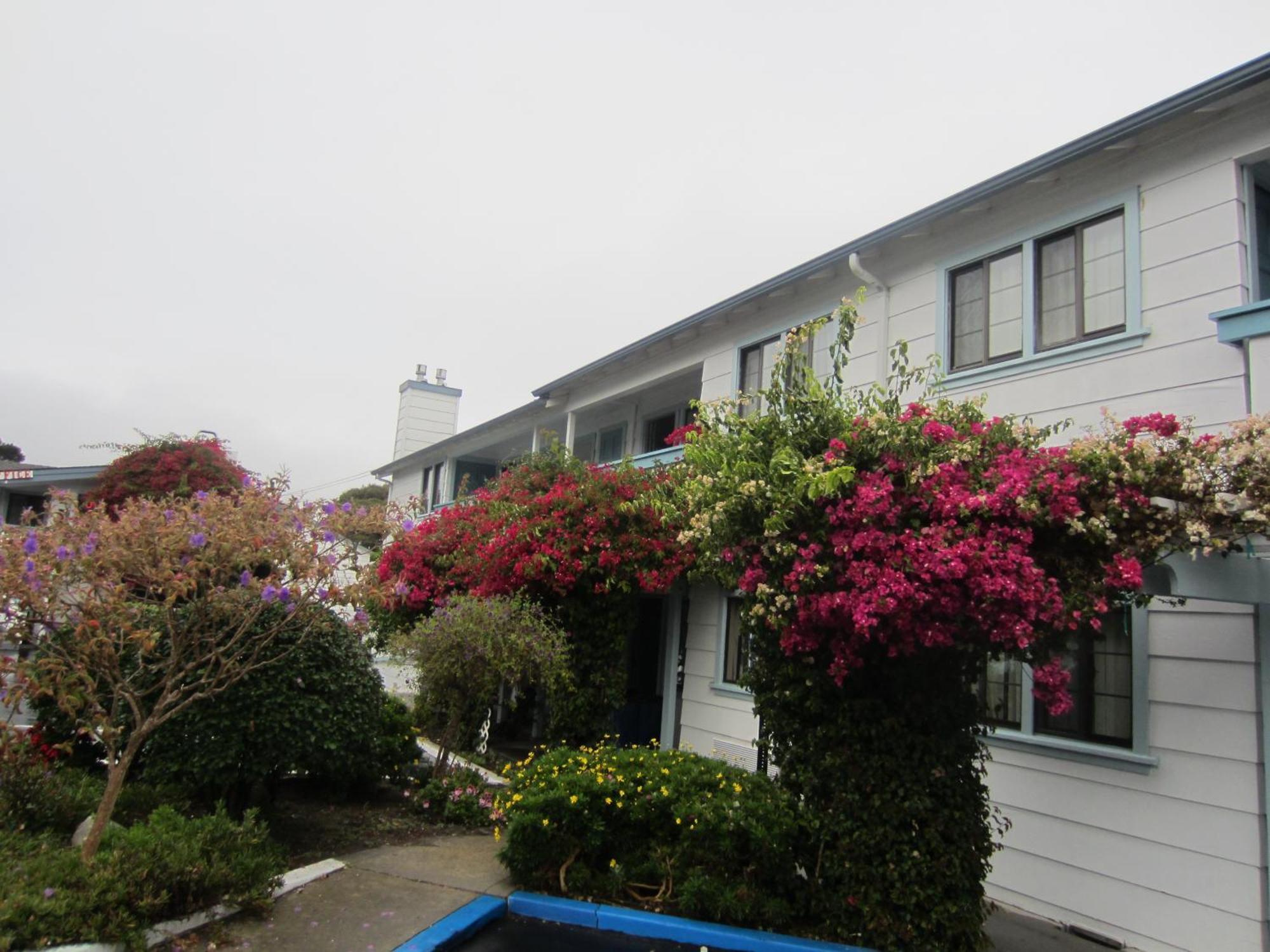 Arbor Inn Monterey Exterior photo